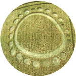 Brabant crop circle, aerial photo 3