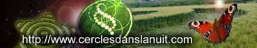 Freyming-Merlebach, Lorraine, France crop circle, aerial photo 8
