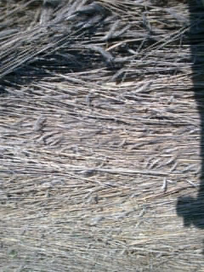 Freyming-Merlebach, Lorraine, France crop circle, aerial photo 5
