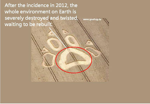 Hoeckelheim, Niedersachsen (Lower Saxony), Germany crop circle, aerial photo 5