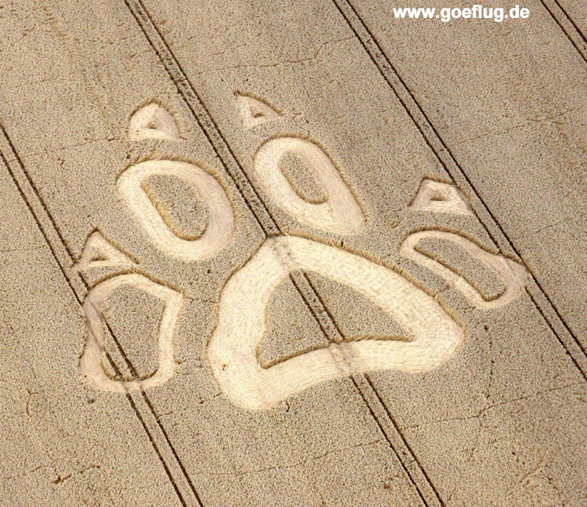 Hoeckelheim, Niedersachsen (Lower Saxony), Germany crop circle, aerial photo 2