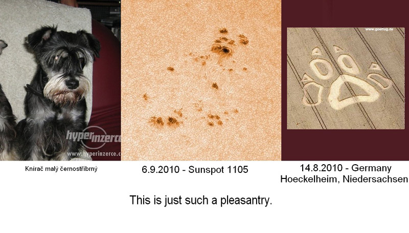 Hoeckelheim, Niedersachsen (Lower Saxony), Germany crop circle, aerial photo 10