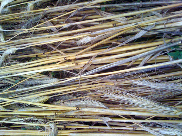 Siegburg Kaldauen, North Rhine-Westphalia, Germany crop circle, aerial photo 7