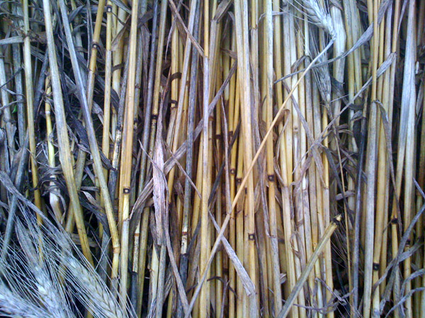 Siegburg Kaldauen, North Rhine-Westphalia, Germany crop circle, aerial photo 8