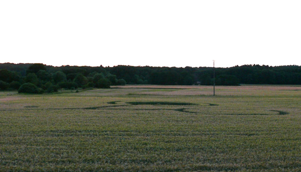 Siegburg Kaldauen, North Rhine-Westphalia, Germany crop circle, aerial photo 14