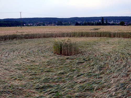 Siegburg Kaldauen, North Rhine-Westphalia, Germany crop circle, aerial photo 16