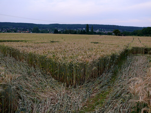 Siegburg Kaldauen, North Rhine-Westphalia, Germany crop circle, aerial photo 17