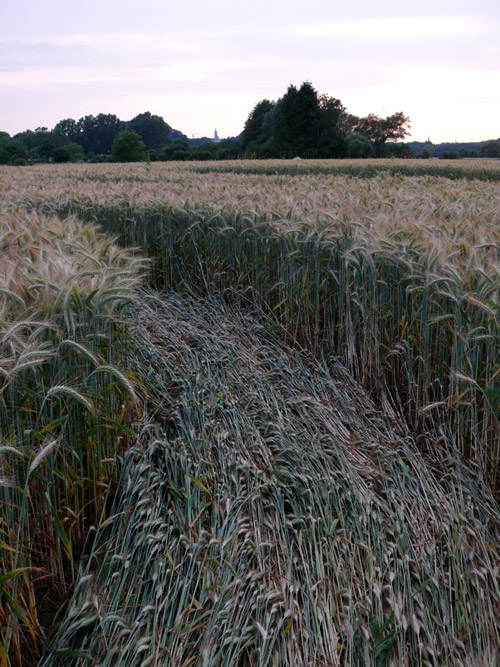 Siegburg Kaldauen, North Rhine-Westphalia, Germany crop circle, aerial photo 18