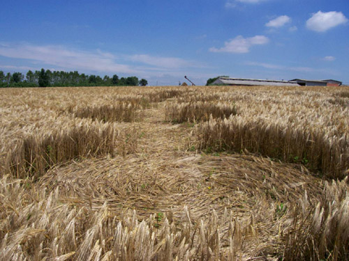 Poirino (Torino), Italy crop circle, aerial photo 19