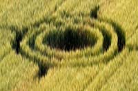 Santa Maria Dell'Adige, Padova, Italy crop circle, aerial photo 2