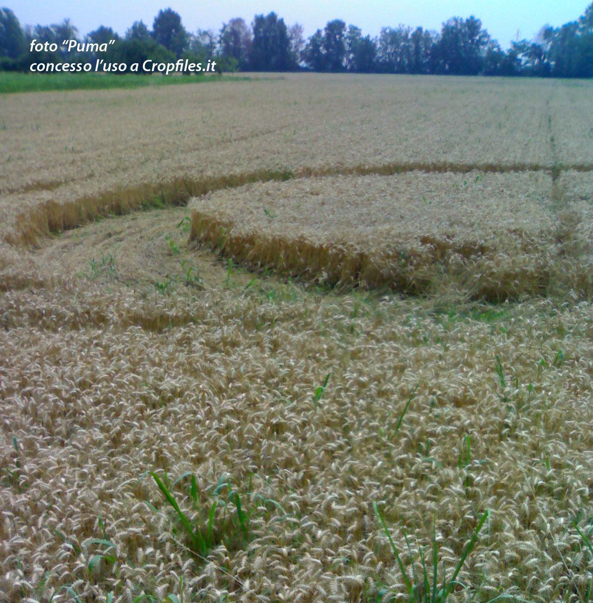 Albairate (Milan), Italy crop circle, aerial photo 2