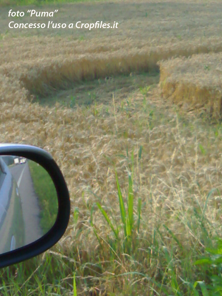 Albairate (Milan), Italy crop circle, aerial photo 3