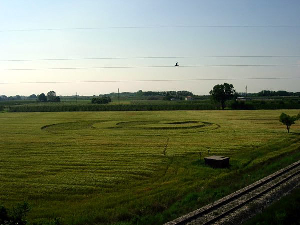 Granarolo Faenza (RA), Italy crop circle, aerial photo 4