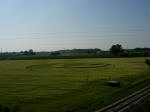 Granarolo Faenza (RA), Italy crop circle, aerial photo 10
