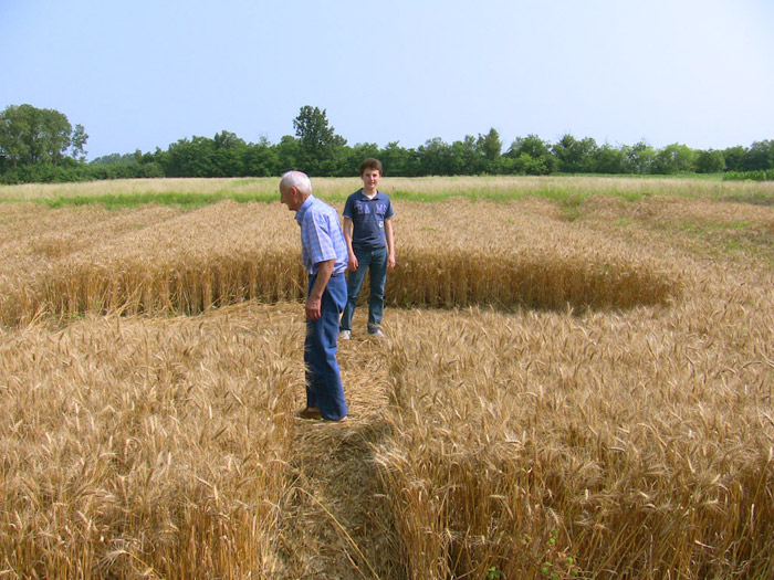 Foglizzo, nr Torino, Italy crop circle, aerial photo 3