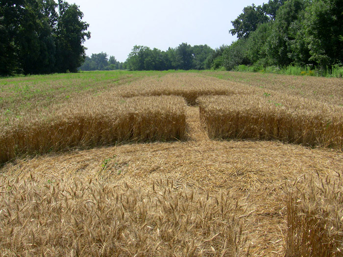 Foglizzo, nr Torino, Italy crop circle, aerial photo 2