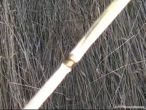 Rho, nr Milan, Italy crop circle, aerial photo 13