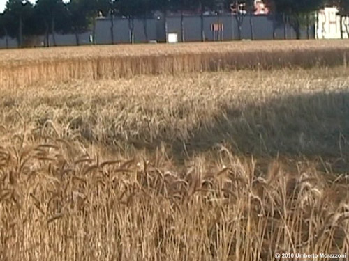 Rho, nr Milan, Italy crop circle, aerial photo 12