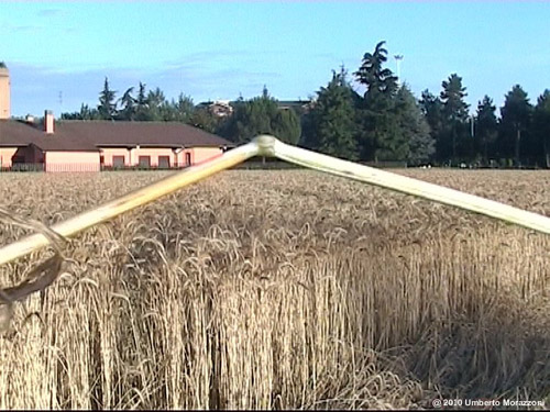Rho, nr Milan, Italy crop circle, aerial photo 16