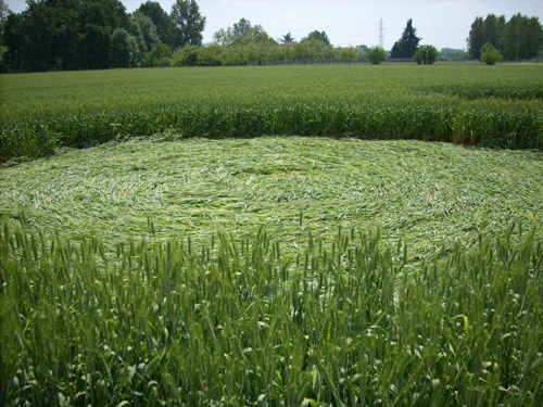 San Benigno, Torino, Italy crop circle, aerial photo 5