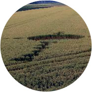 Brabant crop circle, aerial photo 2