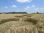 Poirino (Torino), Italy crop circle, aerial photo 41