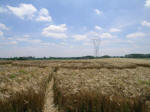 Poirino (Torino), Italy crop circle, aerial photo 44
