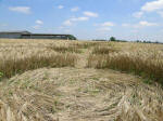 Poirino (Torino), Italy crop circle, aerial photo 40