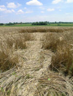 Poirino (Torino), Italy crop circle, aerial photo 26