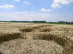 Poirino (Torino), Italy crop circle, aerial photo 33