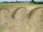 Poirino (Torino), Italy crop circle, aerial photo 32