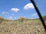 Poirino (Torino), Italy crop circle, aerial photo 38