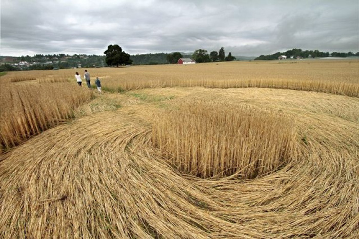 Mæhla Farm, nr Skien, Norway crop circle, aerial photo 5