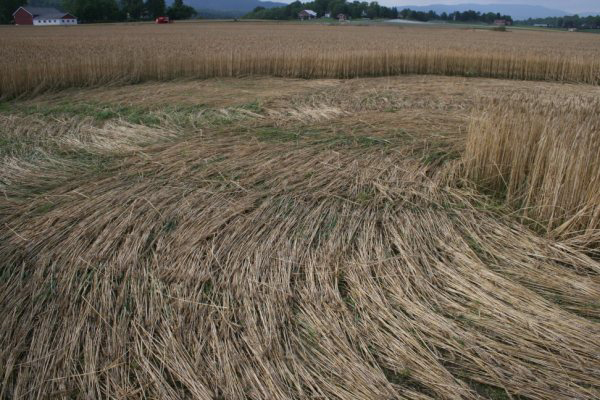 Mæhla Farm, nr Skien, Norway crop circle, aerial photo 8