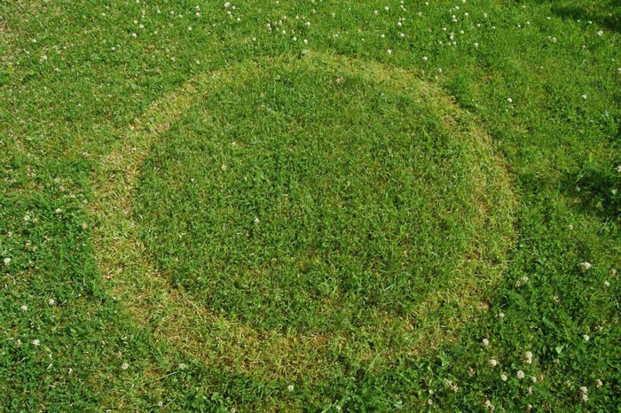 Bjørum, Namsos, Norway crop circle, aerial photo 2