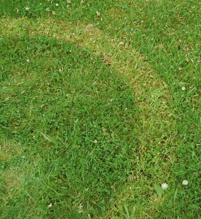Bjørum, Namsos, Norway crop circle, aerial photo 4