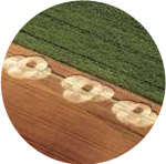 Ballestad gård, Skien, Norway crop circle, aerial photo 2