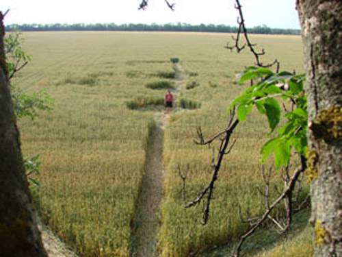 Krasnodar Reg, Belorechensk District, Russia crop circle, aerial photo 9