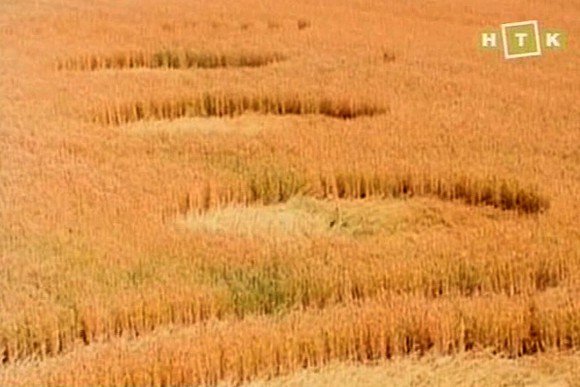 Krasnodar Reg, Belorechensk District, Russia crop circle, aerial photo 3