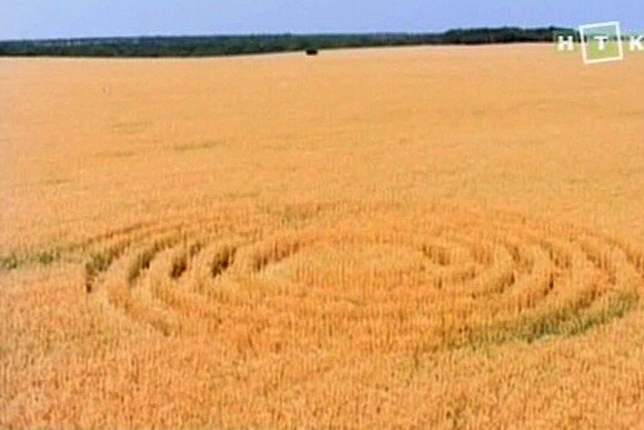 Krasnodar Reg, Belorechensk District, Russia crop circle, aerial photo 4
