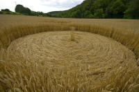 Hochfelden, Zurich, Switzerland crop circle, aerial photo 14