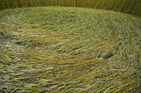 Hochfelden, Zurich, Switzerland crop circle, aerial photo 17