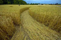Hochfelden, Zurich, Switzerland crop circle, aerial photo 18