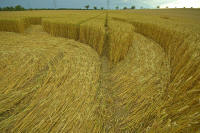 Hochfelden, Zurich, Switzerland crop circle, aerial photo 8