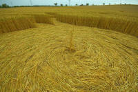 Hochfelden, Zurich, Switzerland crop circle, aerial photo 10