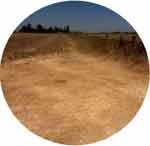 Sacramento County, California, USA crop circle, aerial photo 5
