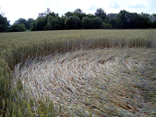 Erpe-Mere, East Flanders, Belgium crop circle, aerial photo 3