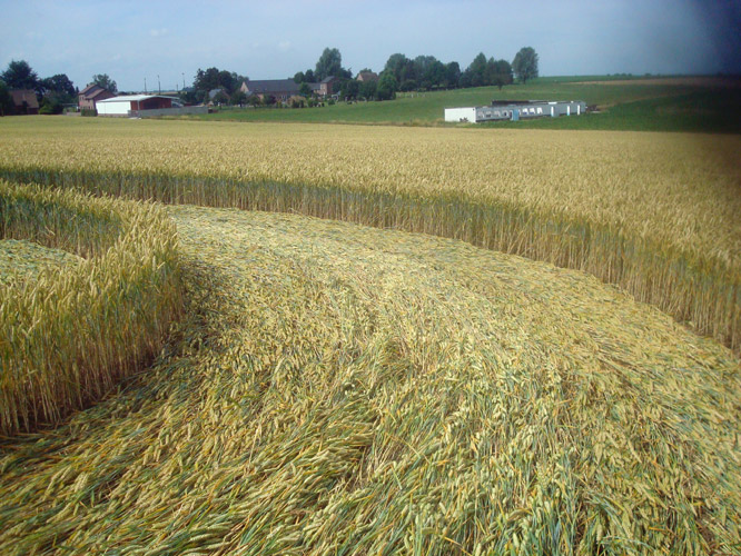 Crop Circle atMomalle, Belgium crop circle, aerial photo 7