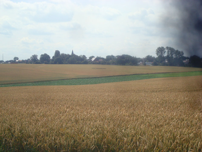 Crop Circle atMomalle, Belgium crop circle, aerial photo 4