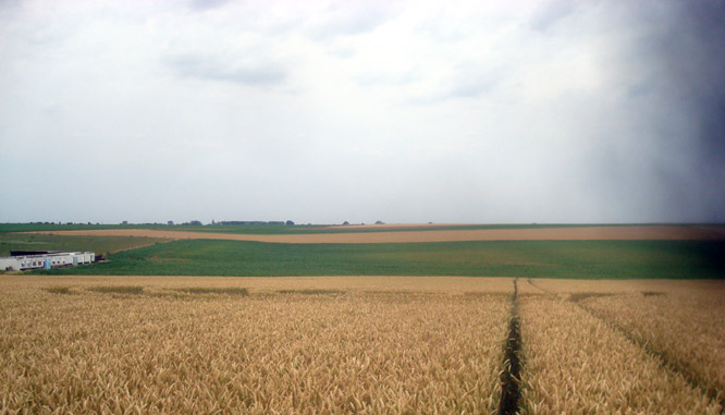 Crop Circle atMomalle, Belgium crop circle, aerial photo 2